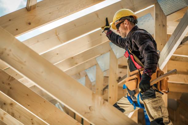 Roof Gutter Cleaning in Abbeville, AL