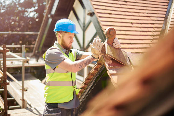 Best Storm Damage Roof Repair  in Abbeville, AL