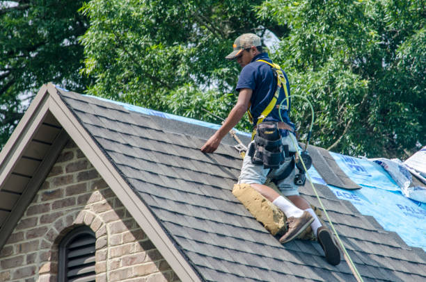 Best Residential Roof Replacement  in Abbeville, AL